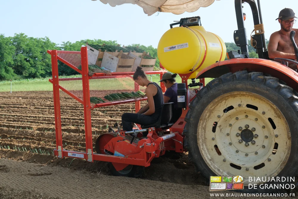 photo des Biaux Jardinieres assises sur la planteuse à poireau attelée au tracteur