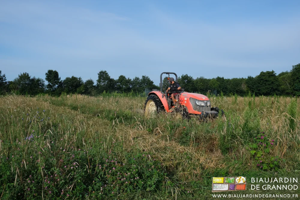 photo de Matthieu broyant au tracteur dans un des carrés d'engrais vert diversifié
