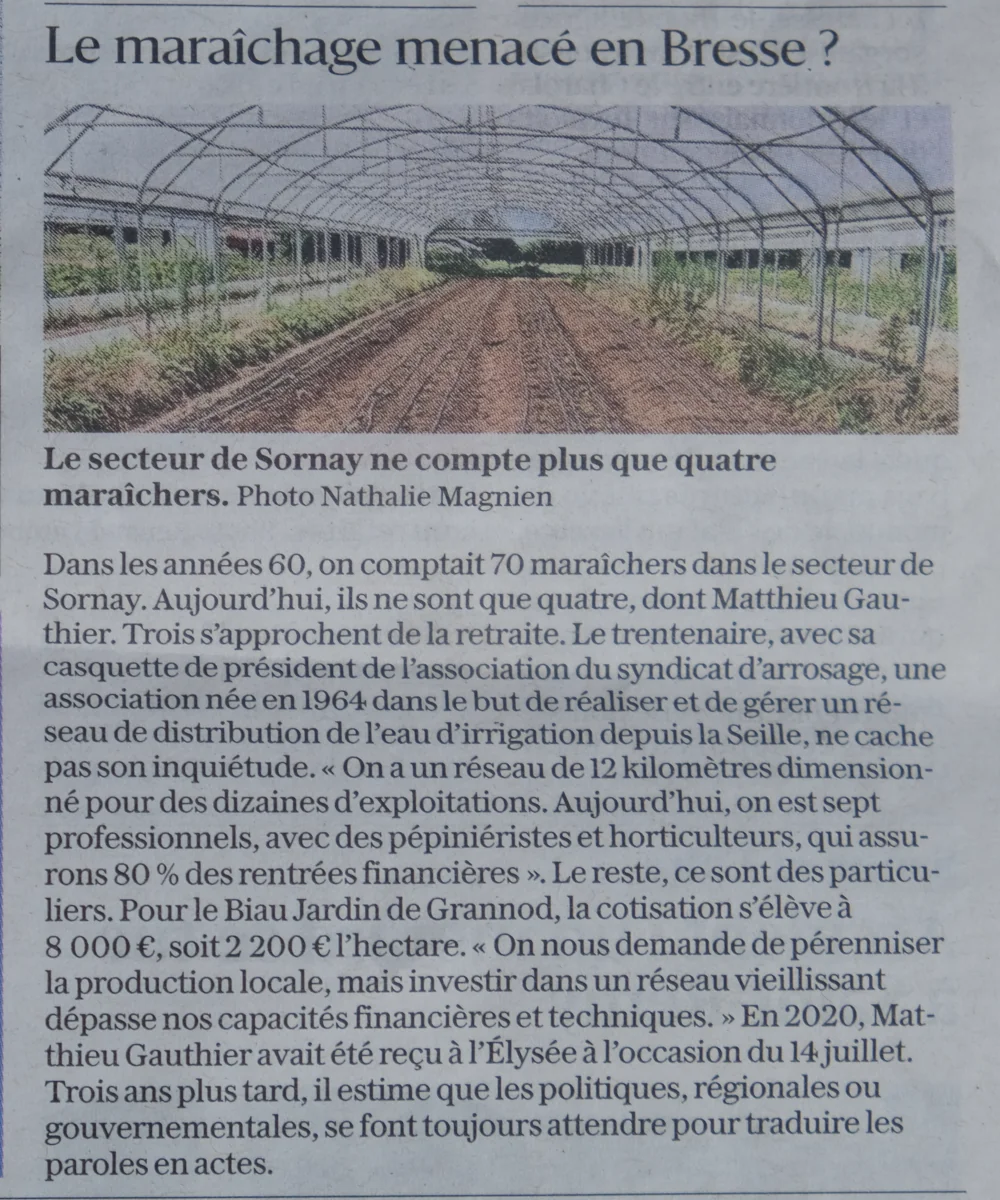 copie de l'article décrivant la situation bouchée de la production maraîchère locale sans action publique forte