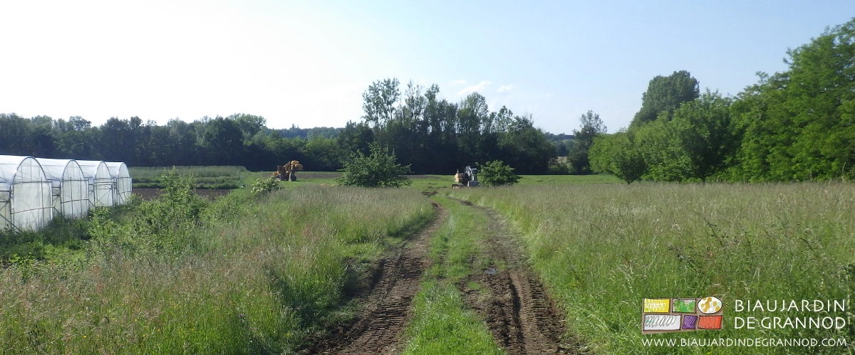 vue d'ensemble de la parcelle à drainer, les outils amenés à pied d'oeuvre