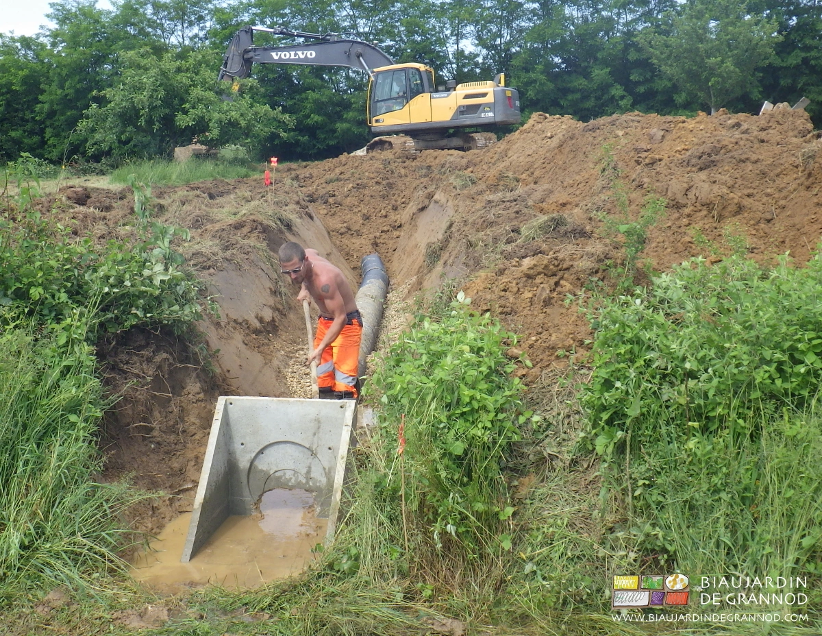 photo de tranchée rallongée pour busage en courbe préservant les arbres existants