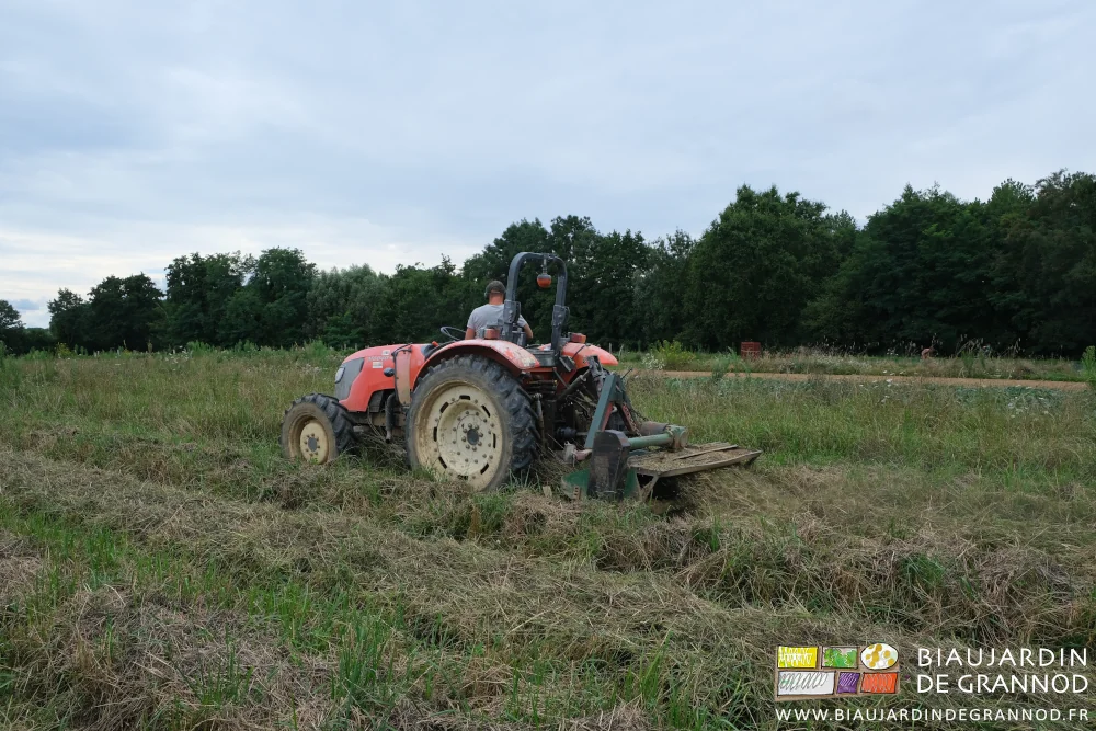photo de Matthieu au tracteur pour broyage d'entretien du mélange trèfles luzerne graminées pluri-annuel