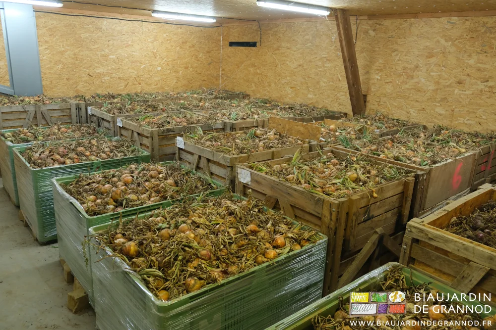 photo du local ventilable pour la conservation de l'oignon