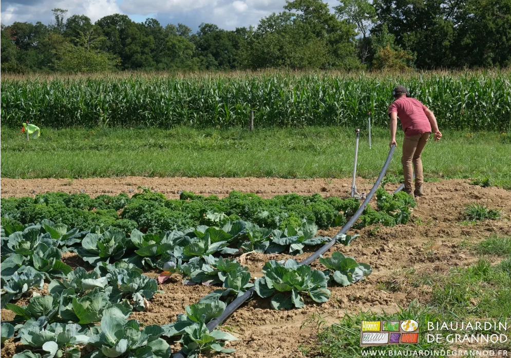 photo de Matthieu penché pour pousser plus loin les tubes de distribution d'arrosage