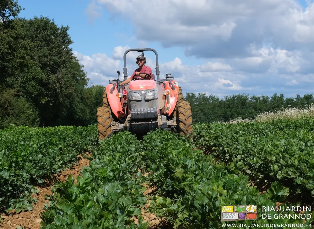 photo de face de Matthieu binant au tracteur les planches de 2 rangs de cdéleri