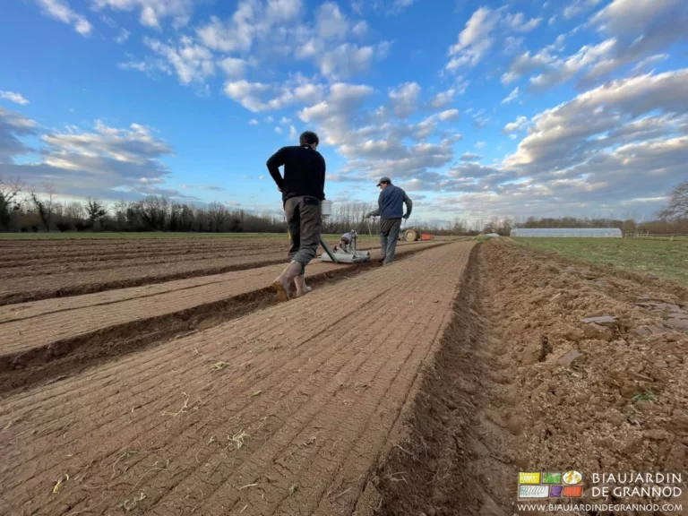 photo sous ciel bleu de semis en plein champ avec le semoir Pourey