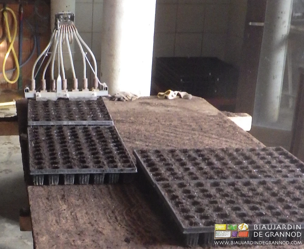 photo du semoir Pourey à plaque alvéolée pour plants