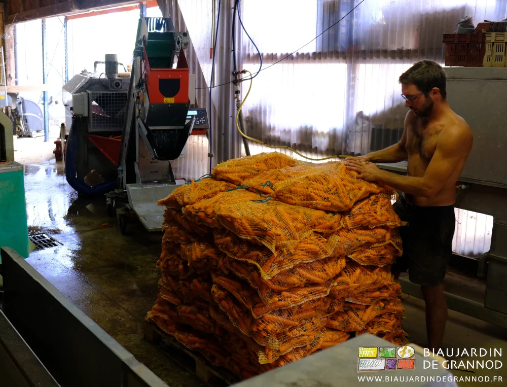 photo de Matthieu posant un filet de carotte sur les précédents