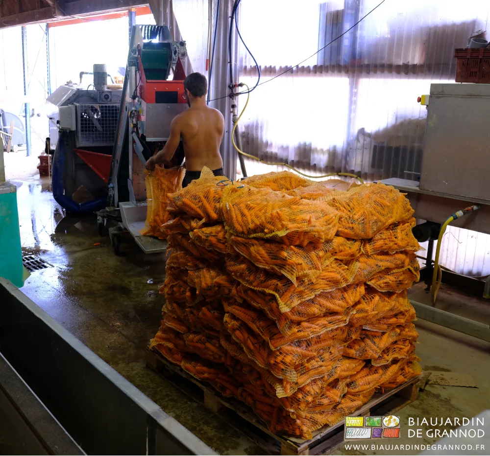 photo du remplissage en cours d'un filet près d'une palette déja haute