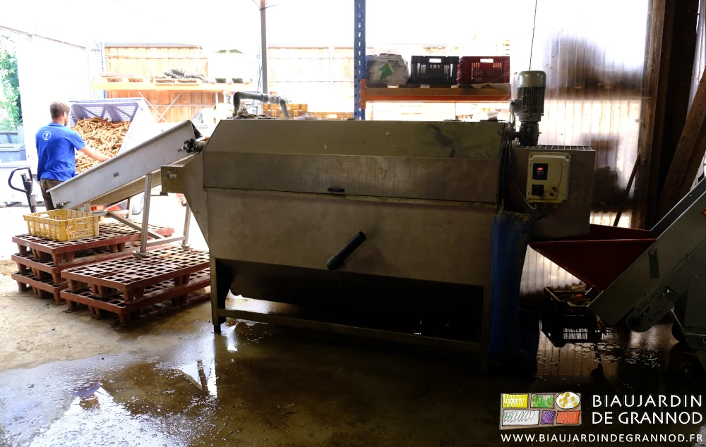 photo de l'alignement palox basculé, tapis élévateur et laveuse