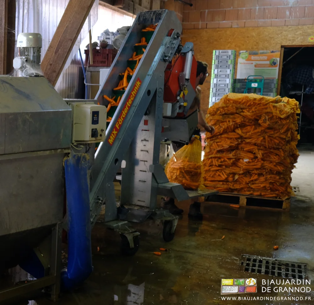 photo de la sortie de laveuse dans la trémie de la peseuse