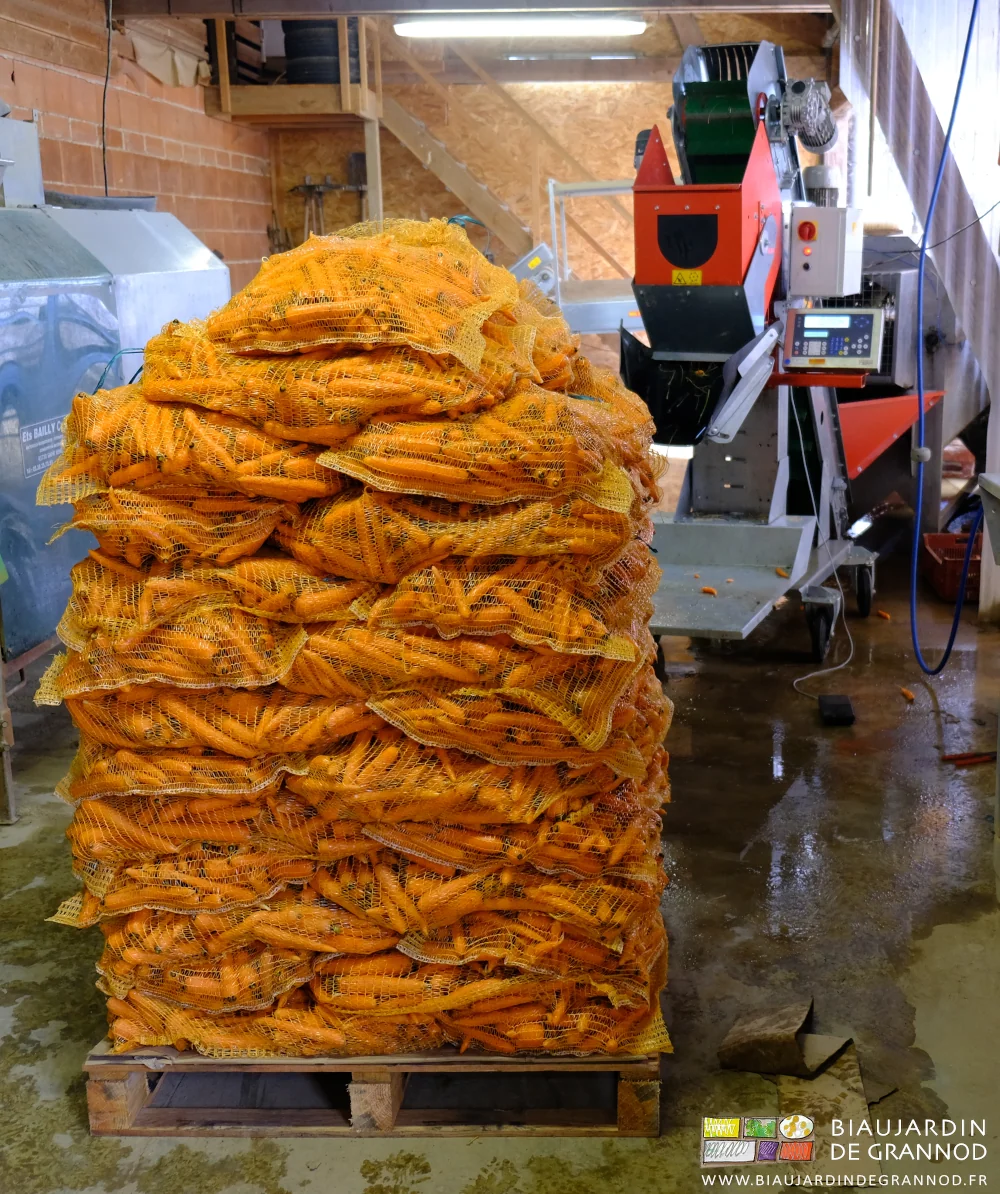 photo d'une palette de carotte en filet de 15 kilos