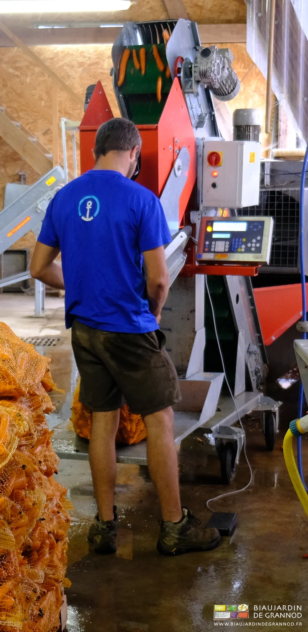 photo de Matthieu déclenchant du pied l'ouverture du bac peseur