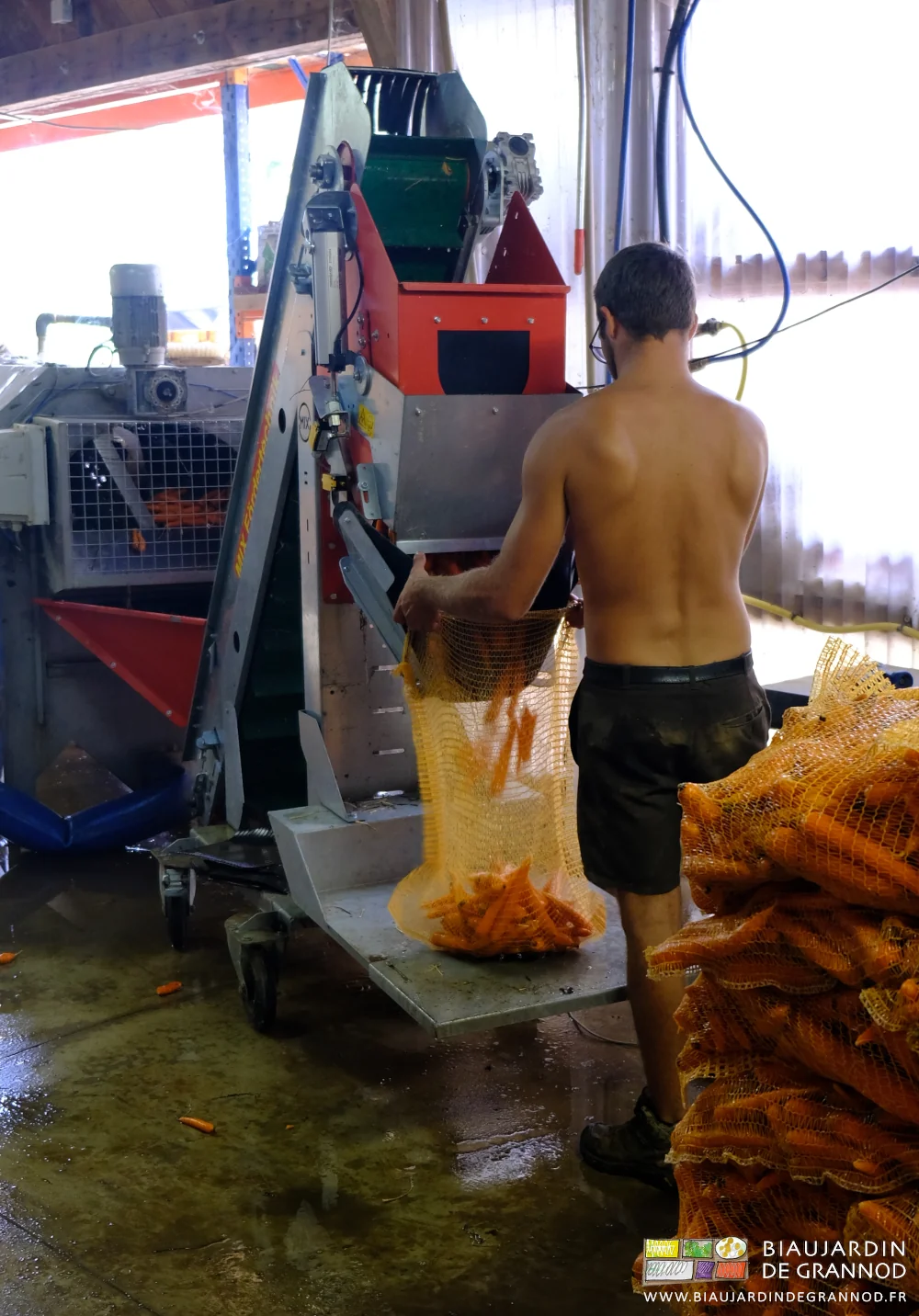 photo d'un filet tenu ouvert sous le bac peseur pour son remplissage