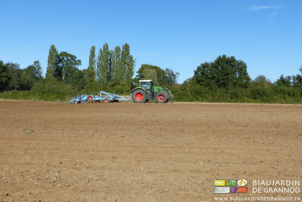 photo du tracteur de Romi travaillant superficiellement la terre et détruire les adventices
