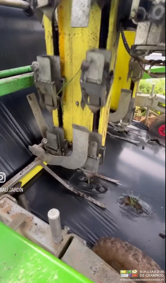 photo proche des bêches de plantation montées sur leur chaîne verticale