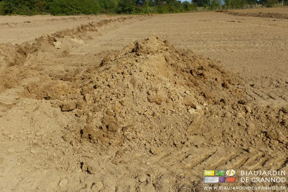 photo de terre brun clair