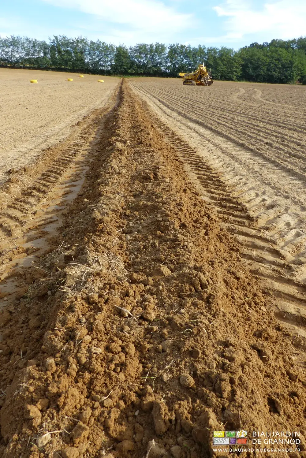 photo de la terre regroupée sur l'emplacement de la tranchée