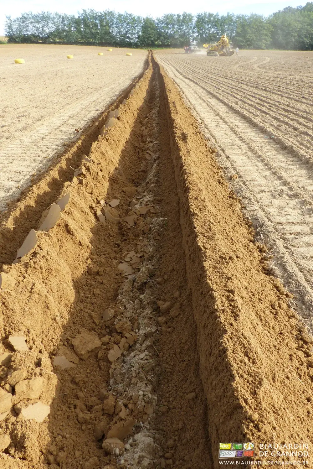 photo de la tranchée en partie rebouchée par le travail de la machine