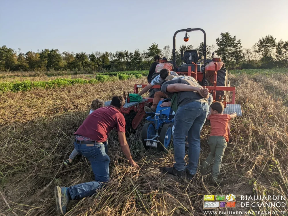 photo de grands et petits penchés pour observer la qualité du repiquage