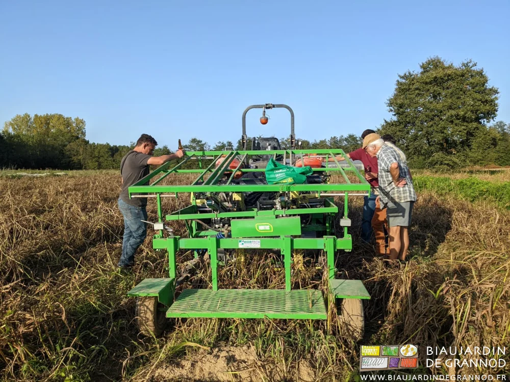 photo de la planteuse verte au travail sur planche de sorgho roulé