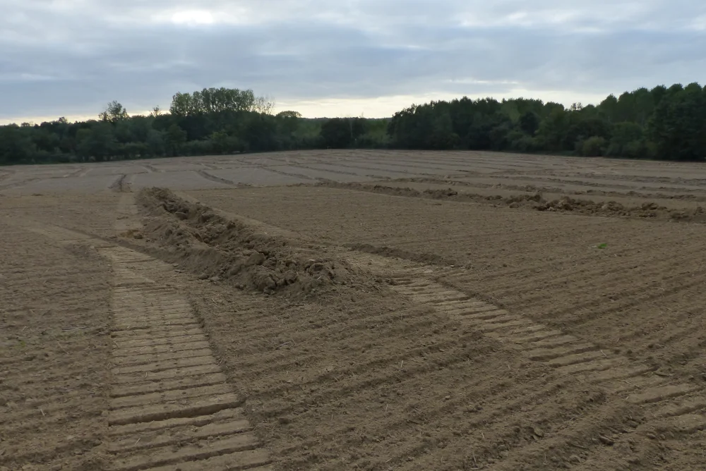 vue d'ensemble des traces de passage de la dent sous-soleuse sur la parcelle