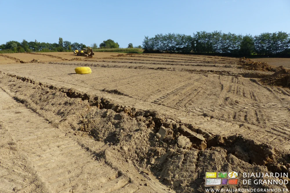 photo d'ensemble de la parcelle, trace de fissuration par le sous-soleur au premier plan
