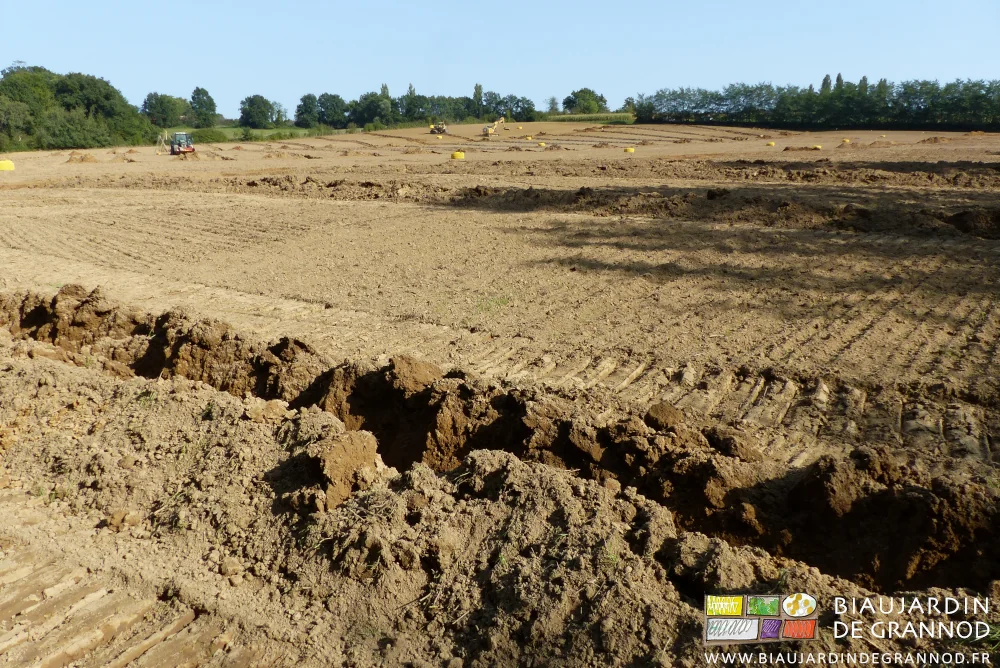vue générale du chantier au premier plan trace de sous-soleur sans grosses mottes