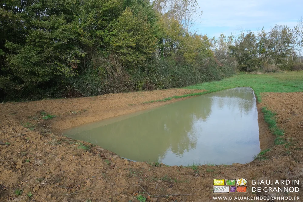photo du bassin de collecte des eaux de drainage ralentissant leur cycle
