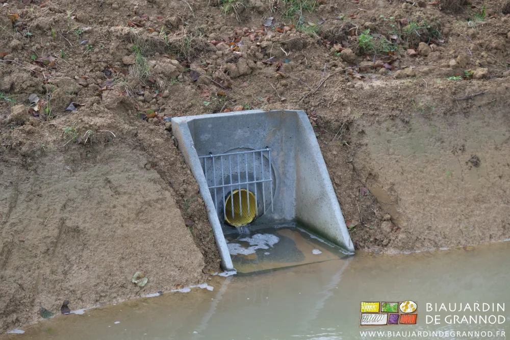 photo de la sortie du drainage qui se verse dans le bassin de rétention
