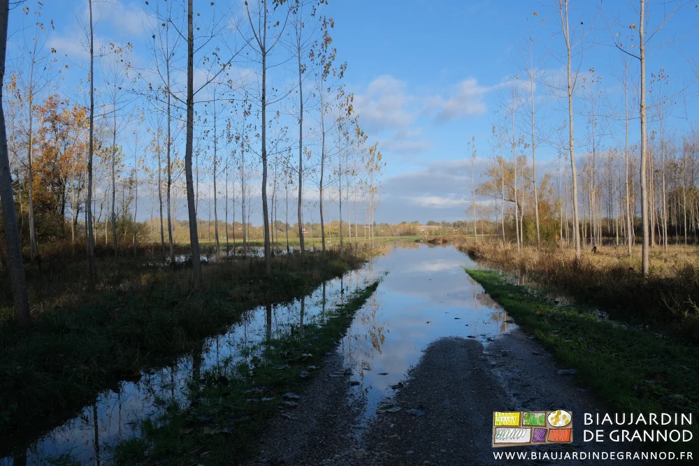 photo du bief qui inonde la route à 20 mètres de notre Biau Jardin