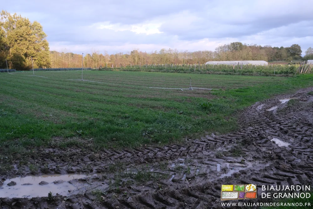 photo de l'allée gorgée d'eau entre les parcelles de jardin