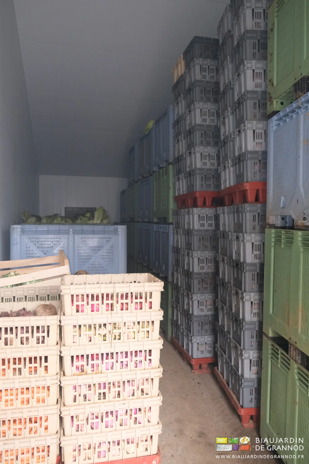 photo des piles de palox dans une chambre froide partiellement remplie