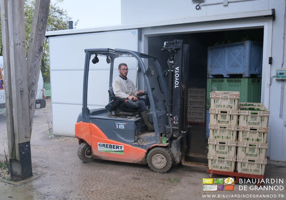 photo de Matthieu rangeant une palette de légumes avec le chariot