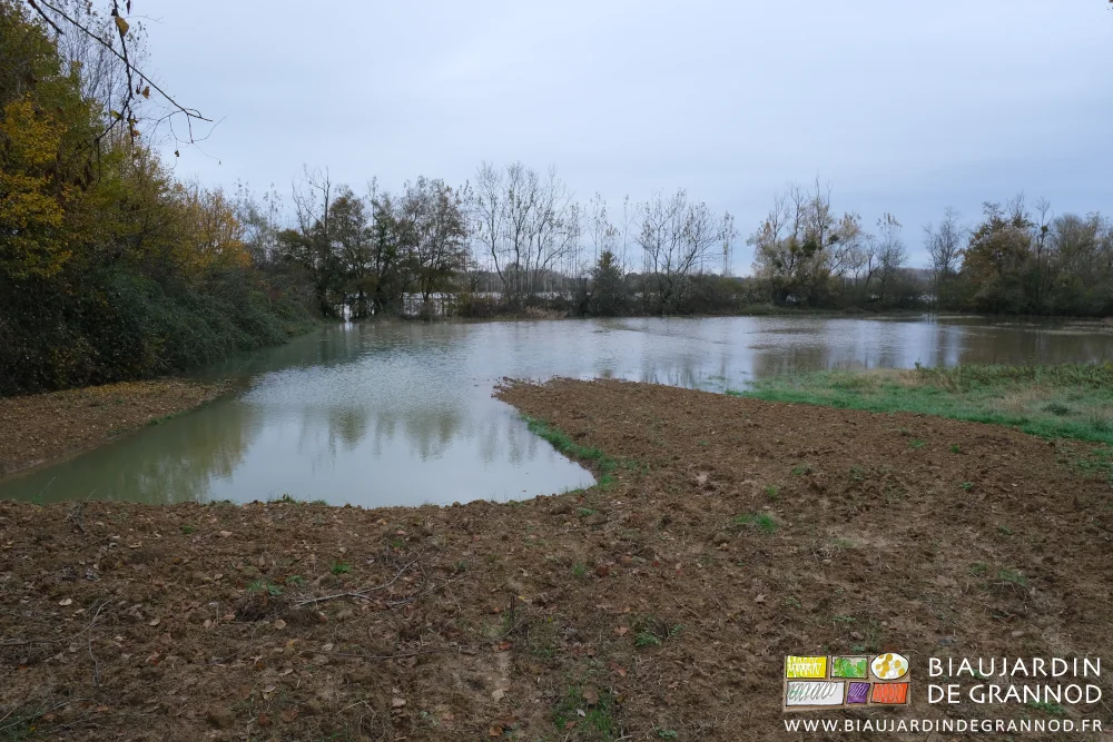 photo du bassin de rétention dans le pré en partie recouvert d'eau par la crue de la Seille