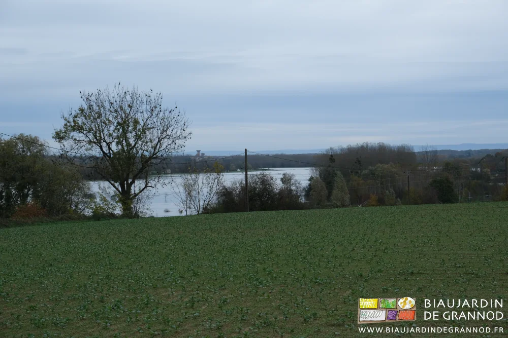 vue lointaine de la prairie de Seille inondée, accès aux ponts coupé