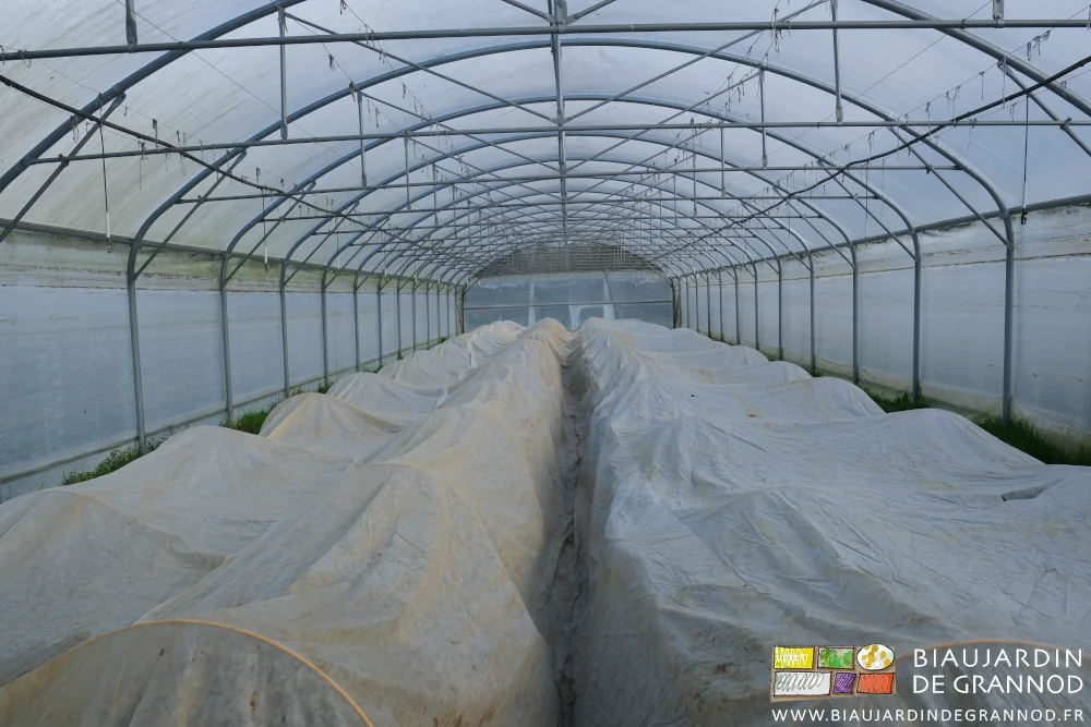 photo d'un tunnel aux planches couvertes du voile posé sur arceaux