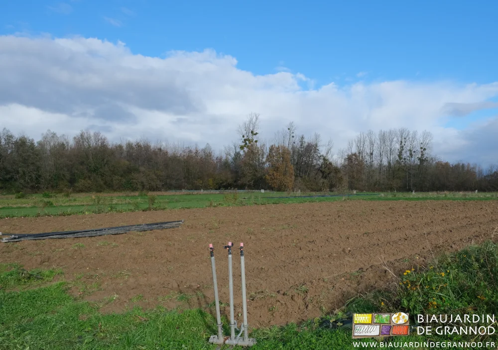 photo d'un des carrés du jardin dont les planches sont juste buttées