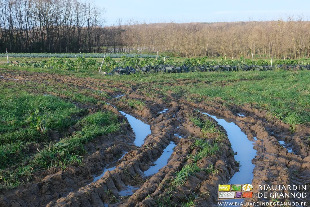 photo des ornières dans les dessertes des carrés de légumes
