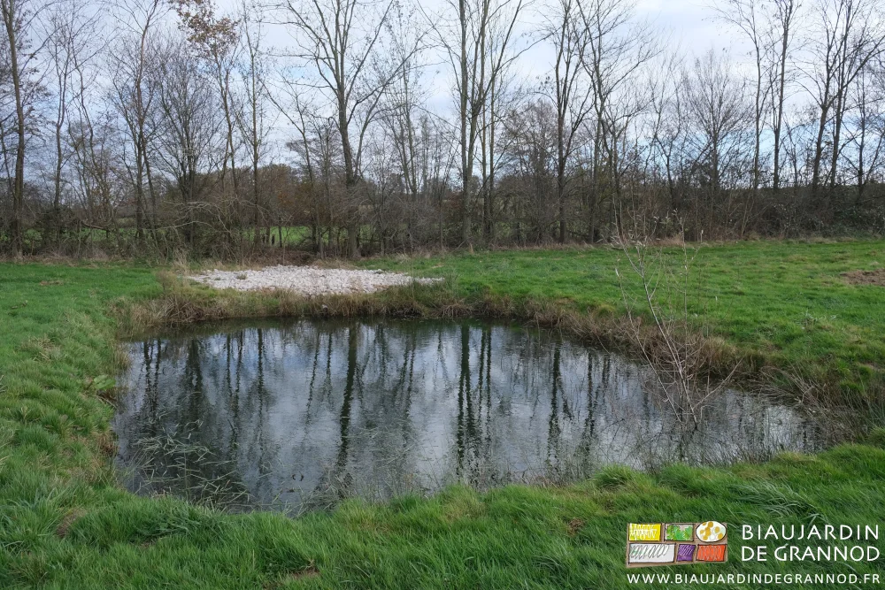 photo du bassin de rétention plein et de l'évacuation du trop-plein par un pierrier