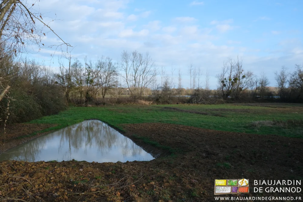 photo du bassin de rétention triangulaire, stockant les eaux de drainage