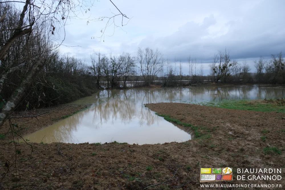 photo du même pré majoritairement couvert d'eau