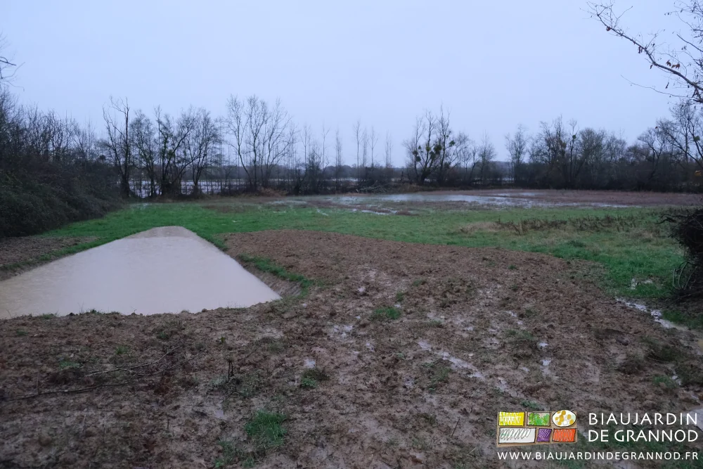 photo d'un des bassins de rétention d'eau de drainage dans un pré garnie de très grosses flaques