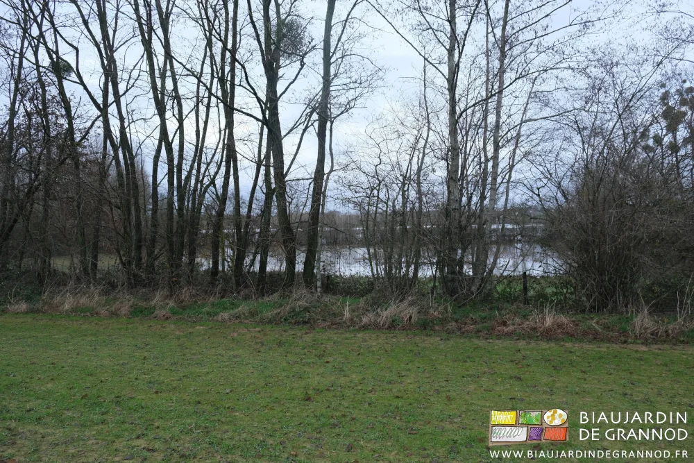 photo des prés recouverts d'eau juste en bas d'une de nos parcelles cultivées