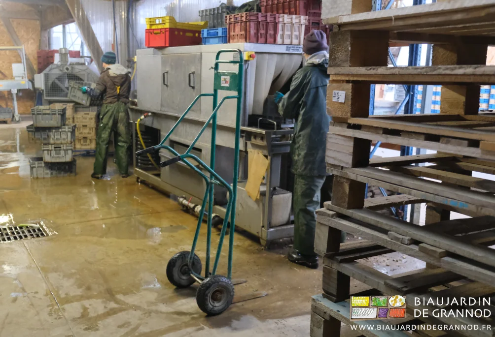 photo du travail à deux à la laveuse de caisses