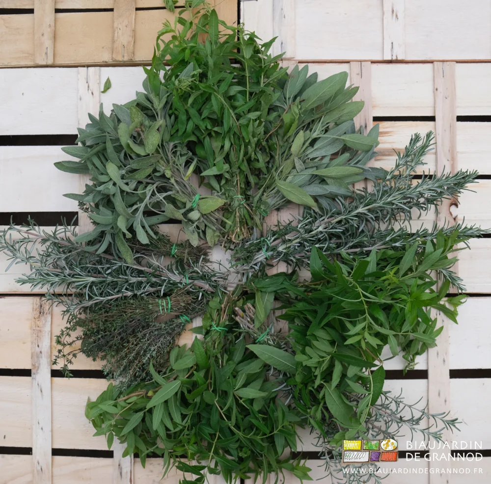 photo de sauge, thym, verveine, sarriette, romarin, etc... sur une cagette bois