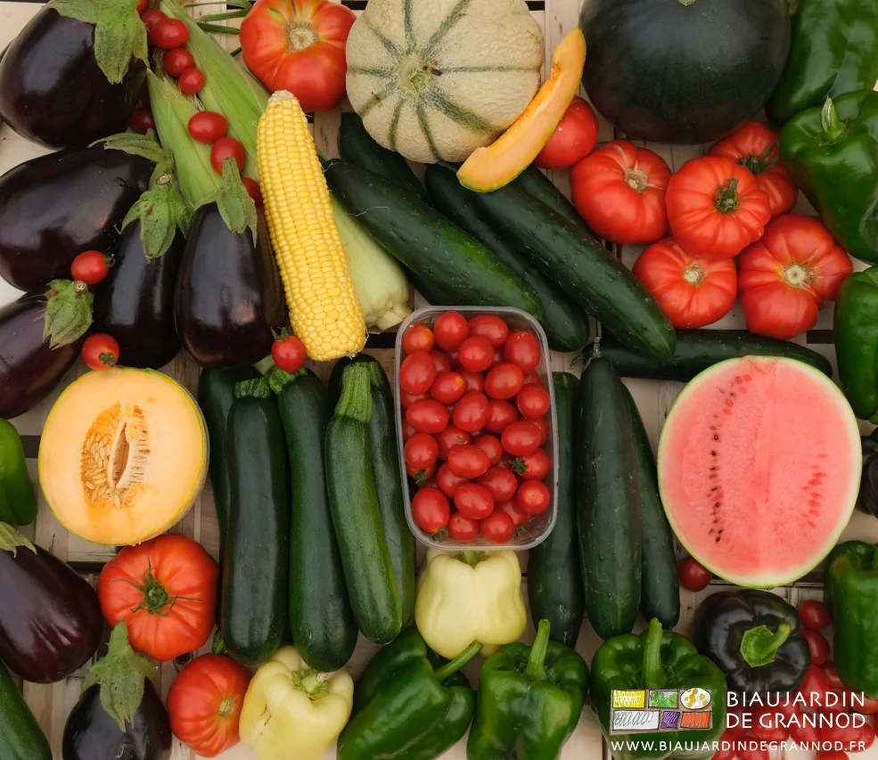 photo regroupant tous nos légumes d'été