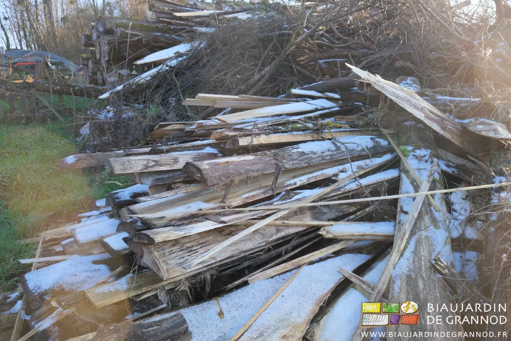 photo de dosses déchets de sciage de peuplier par la scierie mobile cet hiver