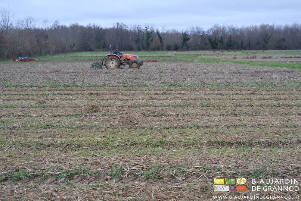 photo d'ensemble du jardin avec le broyeur au travail au milieu