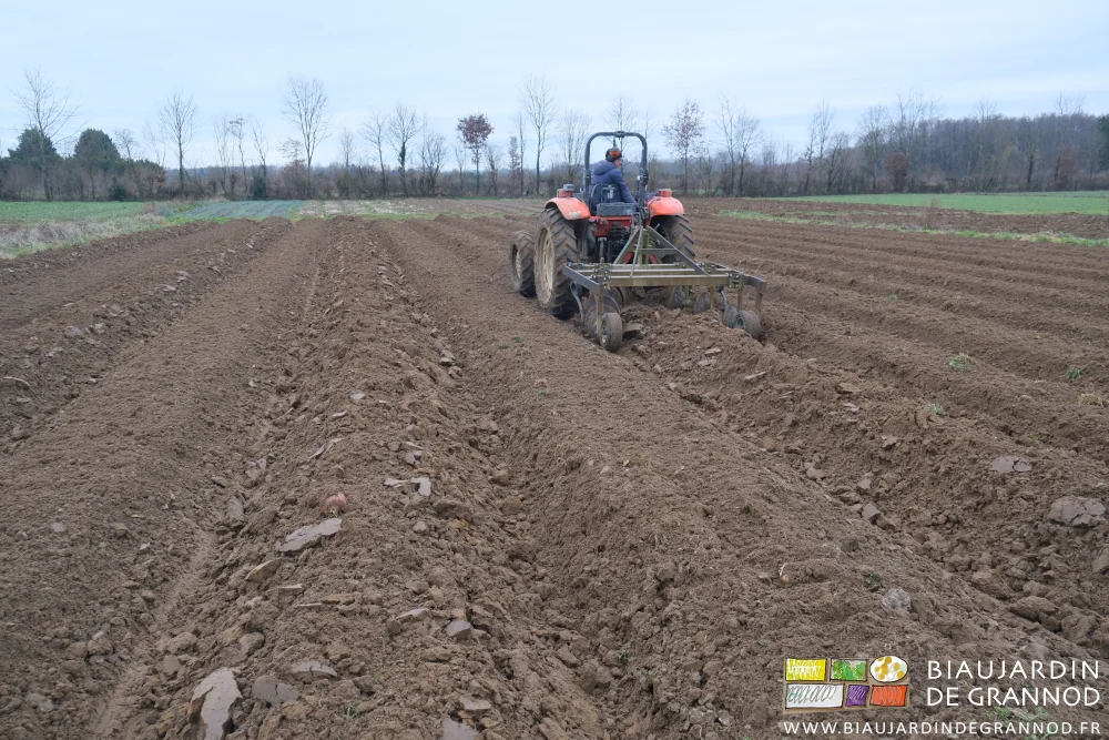 photo de buttage en cours dans un carré de jardin